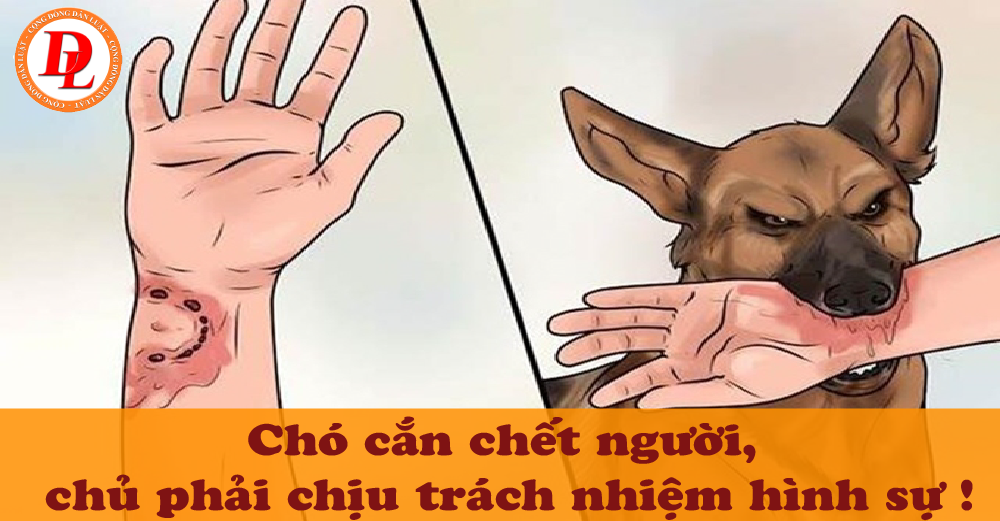 cho-can-chet-nguoi